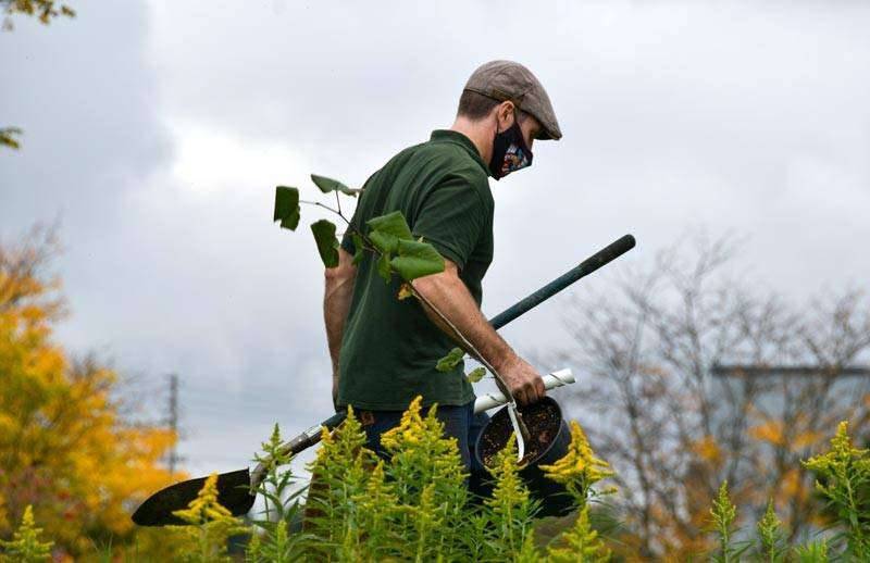 VAAS - Video as a service